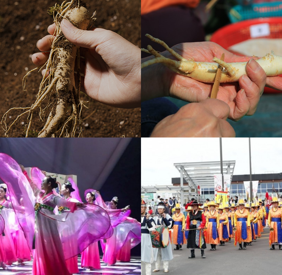 풍기 인삼축제 일정
