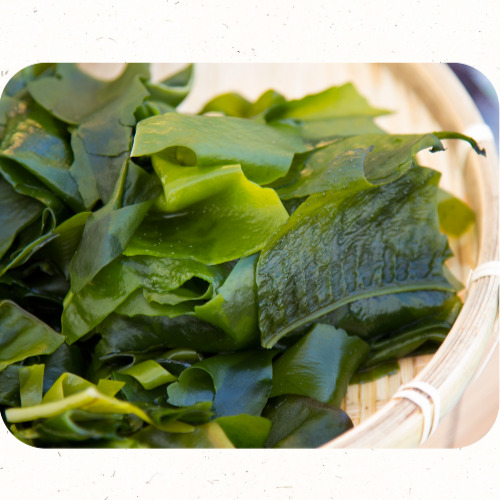 여름철 냉면 대체 면요리 3종 비교 인포그래픽