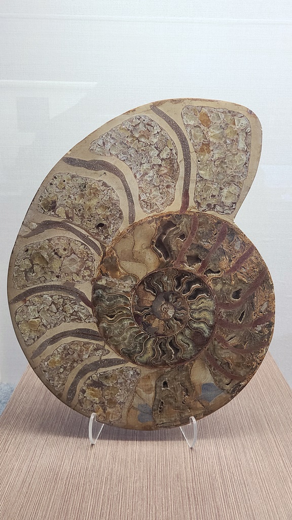 경주-아이와함께가볼만한곳