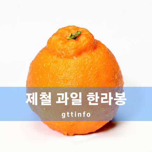 한라봉의 효능