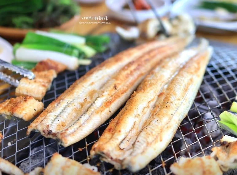 생방송투데이 15년 대물장어 썸네일