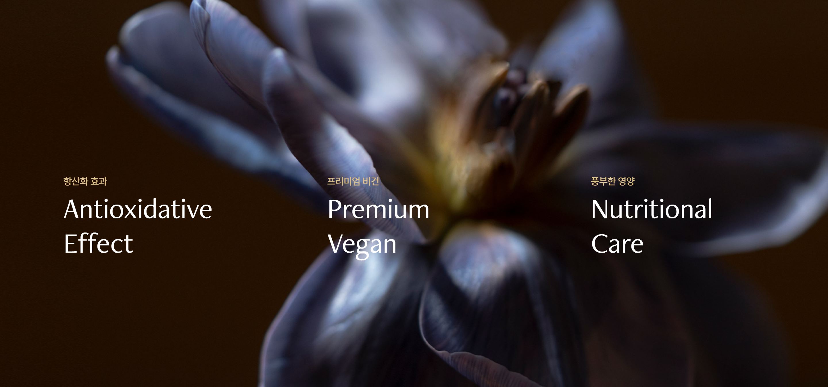 달바글로벌 수요예측결과 공모주 투자포인트