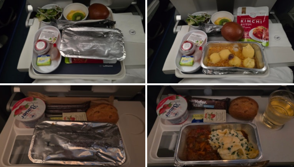 프랑크푸르트 공항→인천 공항 / 수속부터 비행, 그리고 귀국까지.