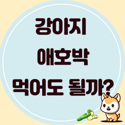 강아지에게 애호박 먹여도 될까? 특히 좋은 점은?