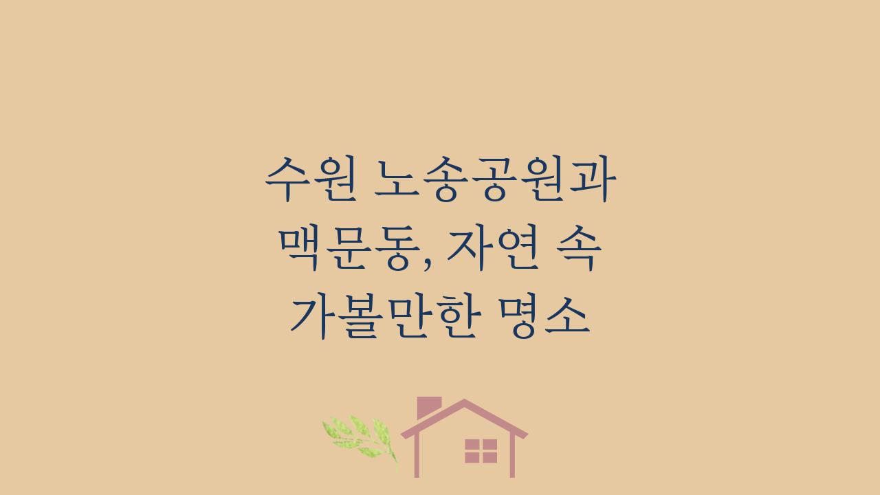 수원 노송공원과 맥문동, 자연 속 가볼만한 명소