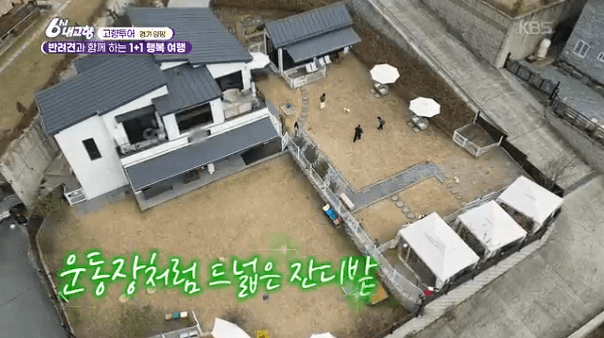 [6시내고향]경기 양평 애견동반 바베큐&middot;정원카페&middot;산악 액티비티 &amp;#39;바베큐레이브 더그림 엑스라이프&amp;#39; 예약 위치 연락처 정보