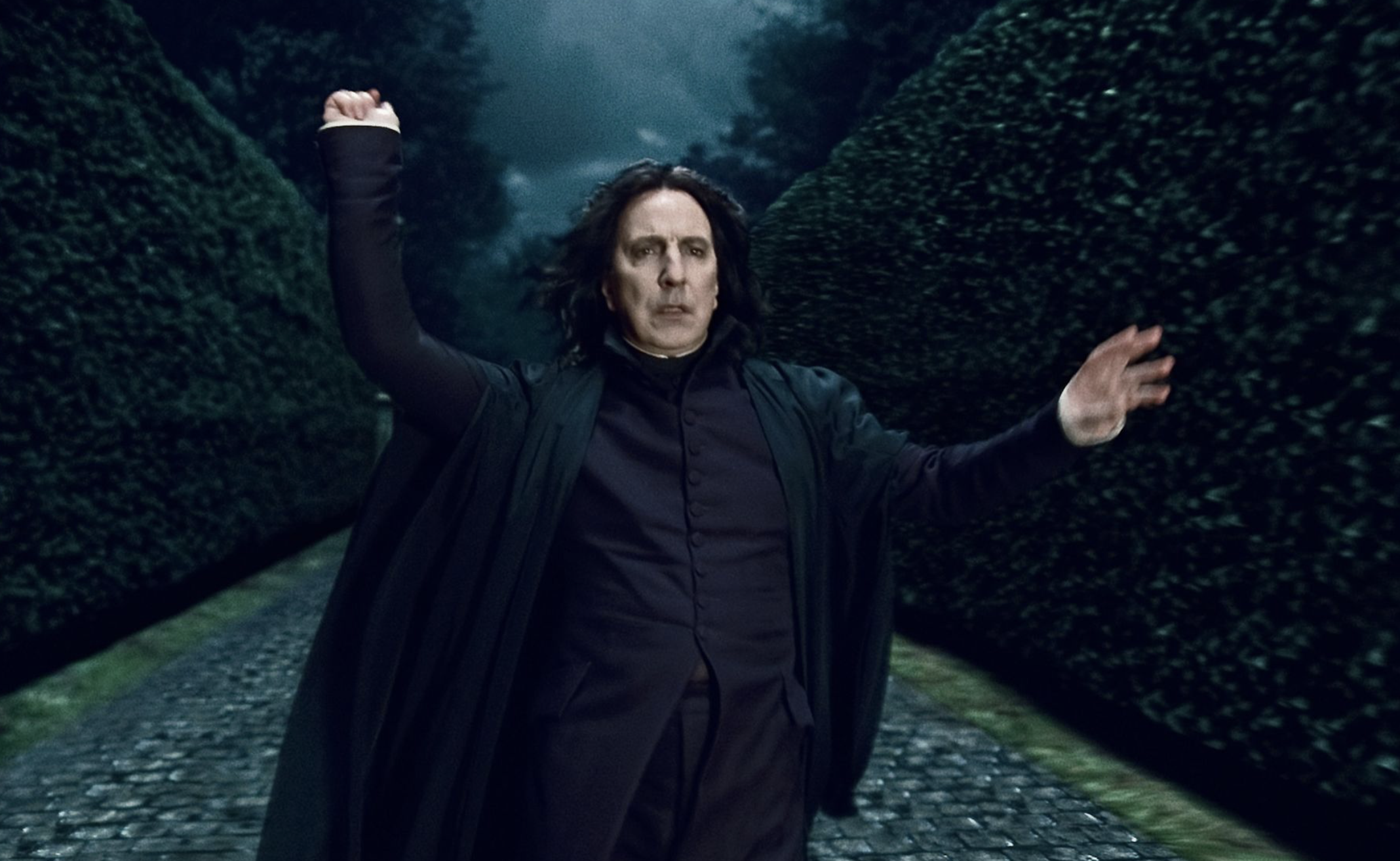 해리 포터와 죽음의 성물 1