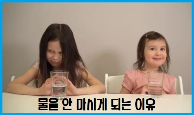 물을 안 마시게 되는 이유