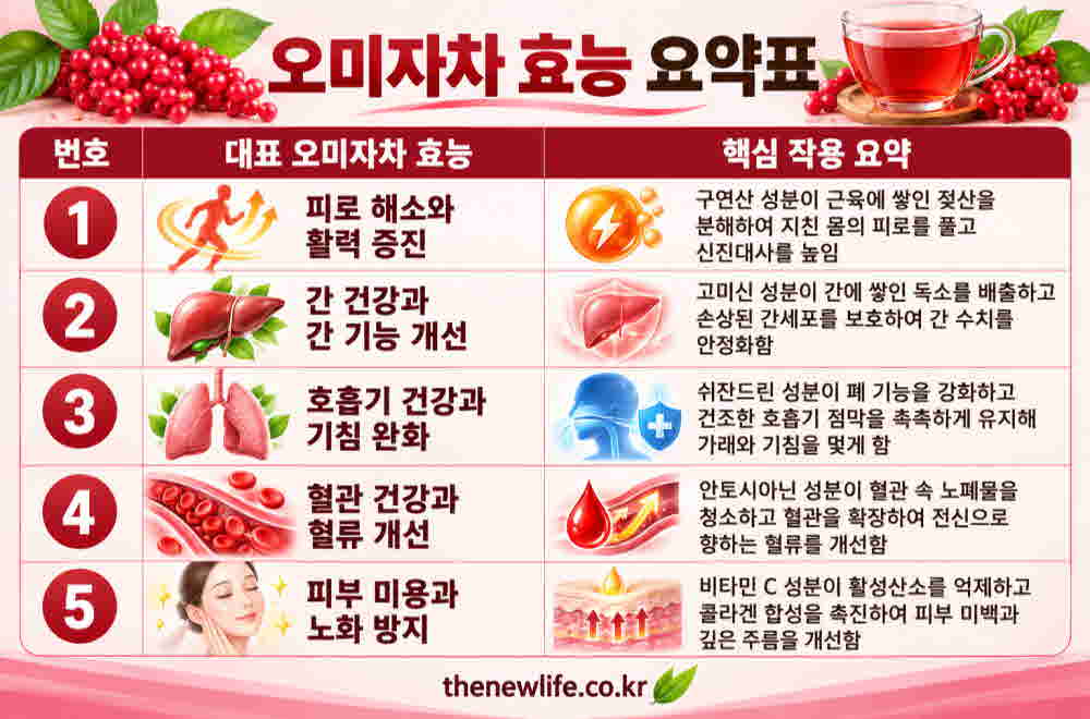 오미자차 효능 요약표