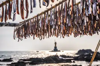 과메기 가격 및 효능&amp;#44; 영양성분과 주의점
