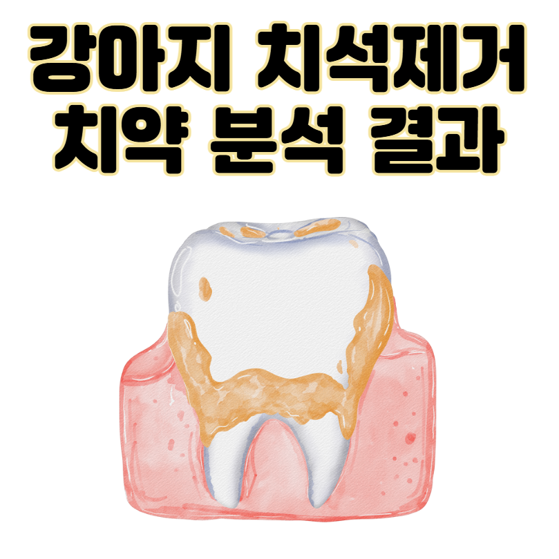 강아지 치석제거 치약 20개 넘게 분석해본 결과