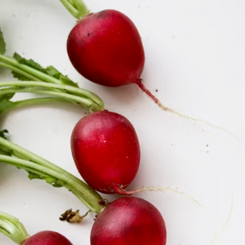 무 효능과 부작용