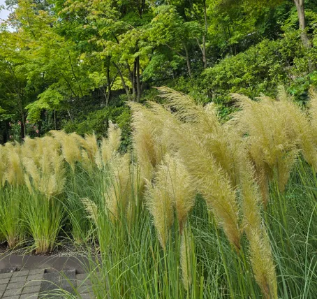 화담숲예약-풍경3