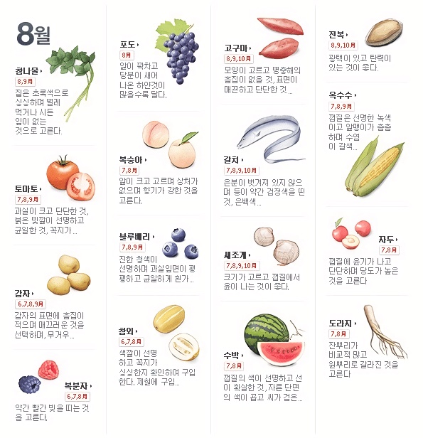 8월 제철음식