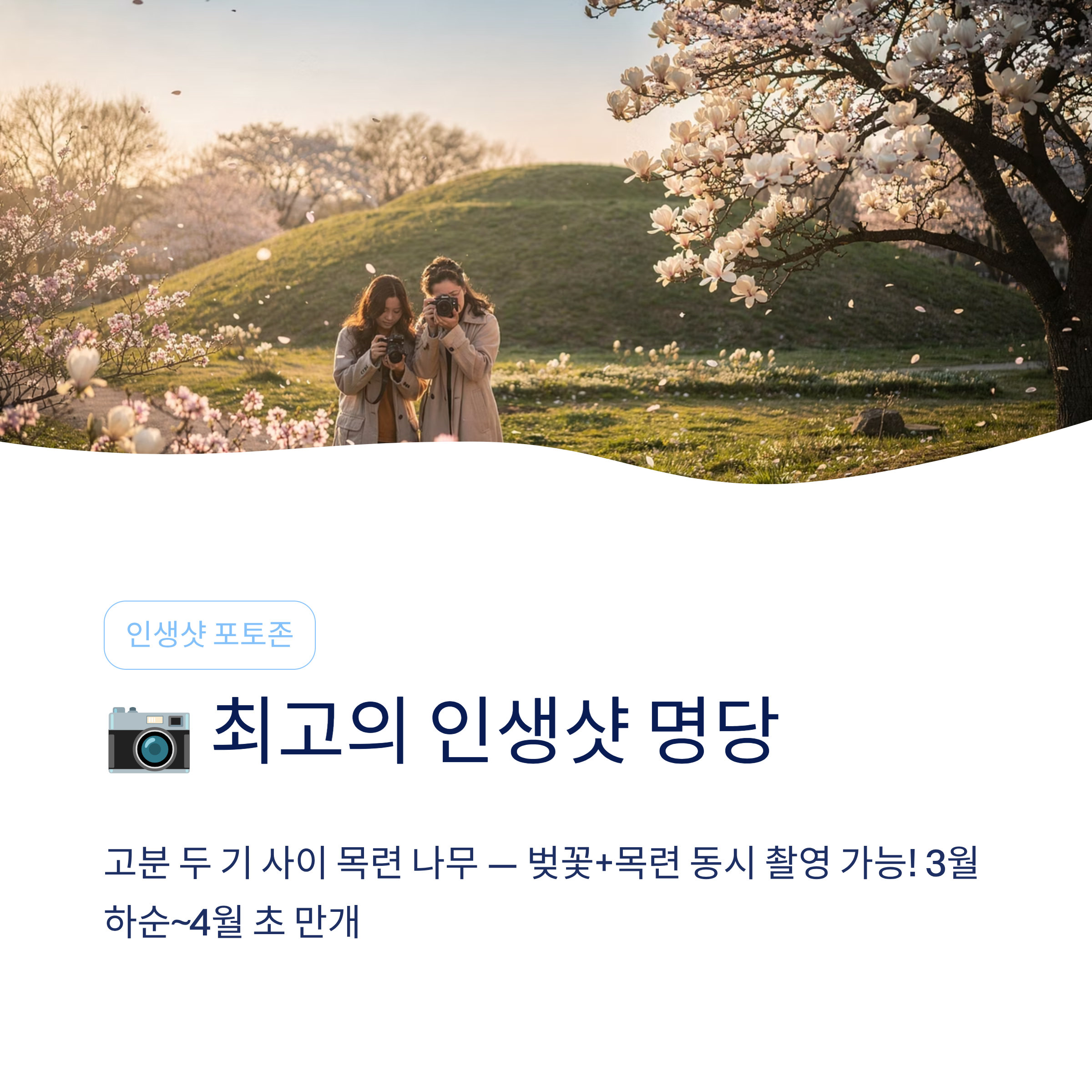 2026 경주 대릉원돌담길 축제 완벽 가이드❘벚꽃·프로그램·주차·맛집 총정리