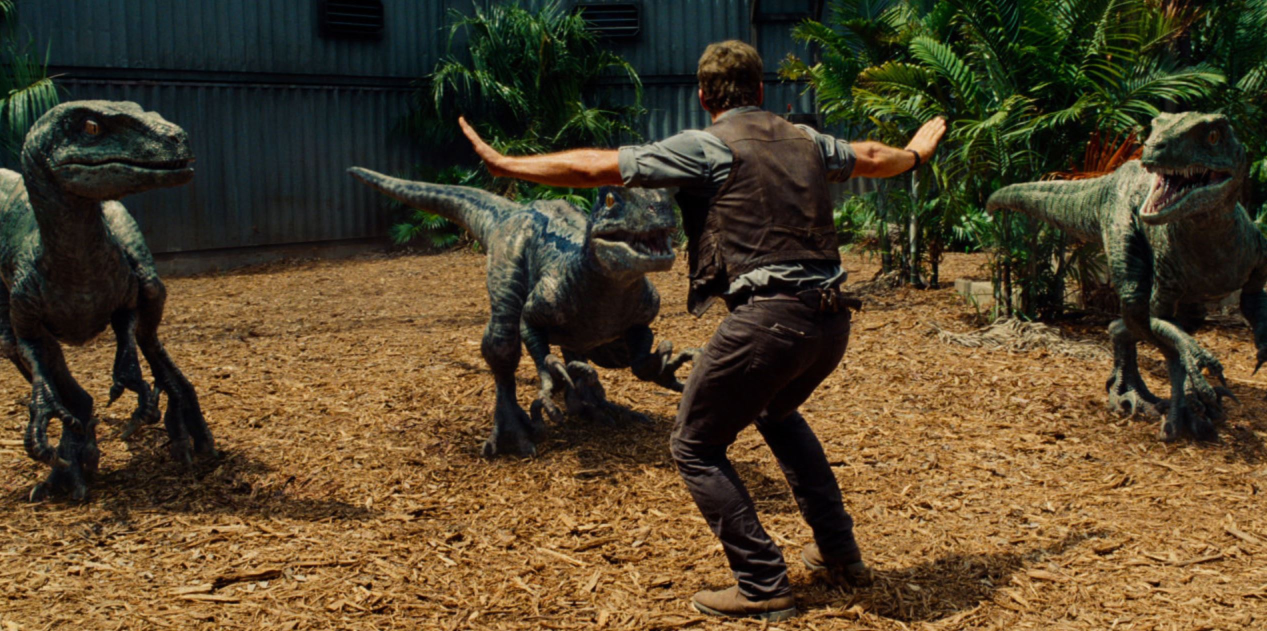 쥬라기 월드 스틸컷