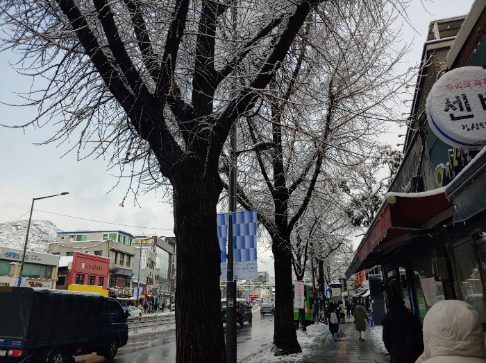 종로-첫눈
