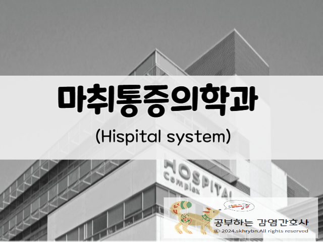 .'마취통증의학과’에 대한 이해: 병원 과별 진료과목 시리즈 14탄