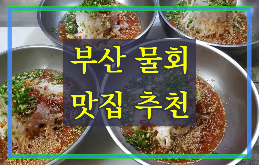 부산 물회 맛집