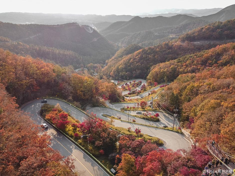 단풍명소추천 충북보은 속리산 말티재