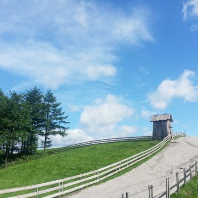 국내 겨울 여행지 평창 양떼목장