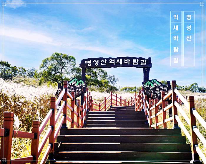 MBN 생생정보 마당 포천 명소 소개 방송