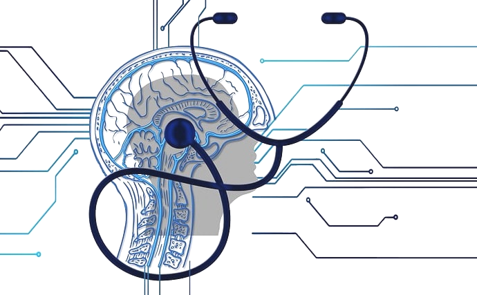 뇌의 일러스트 그림