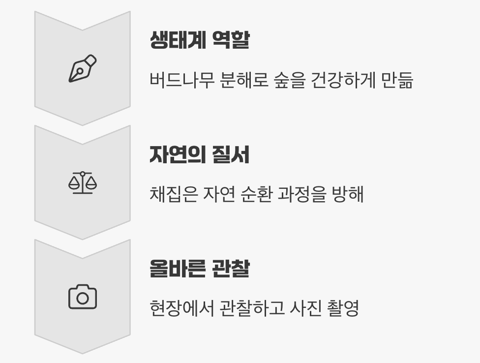 함부로 잡아가면 안 되는 이유