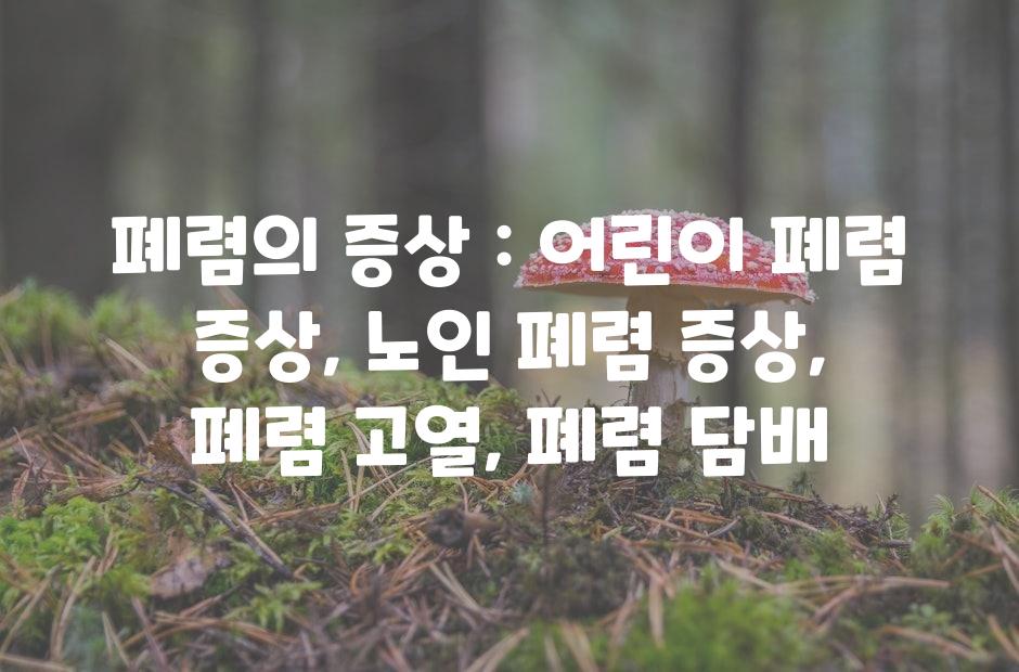 샘플 (42)