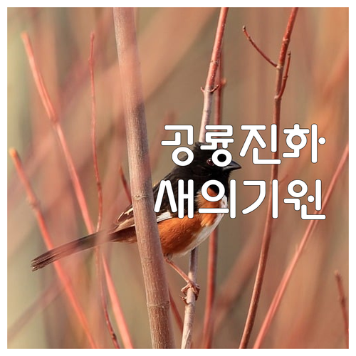 화석이 밝히는 공룡-조류 진화의 증거
