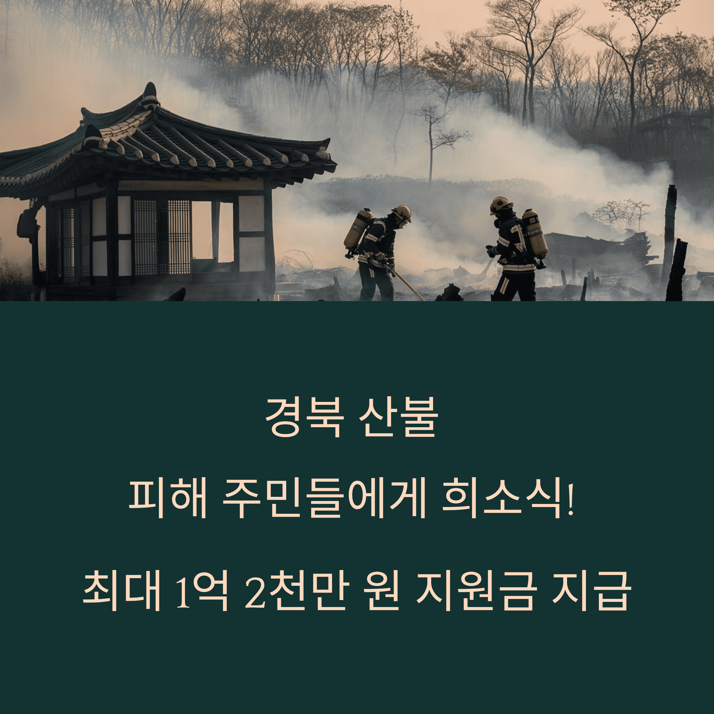 경북 산불 피해 희망은 아직 꺼지지 않았습니다.