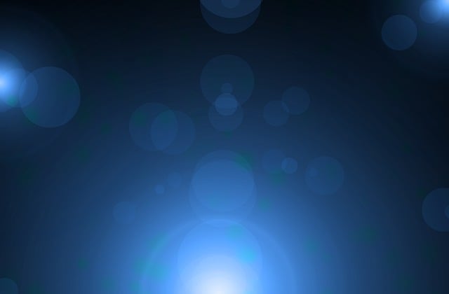 영화 문라이트 관련 사진