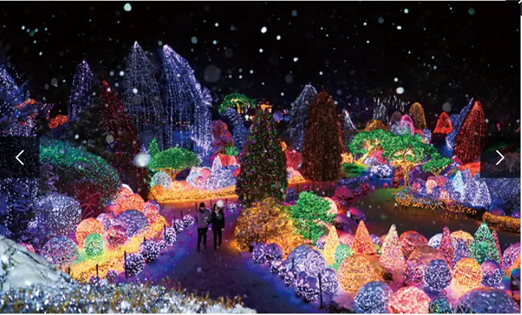 겨울 축제 가볼만한 곳 아침고요 수목원 오색별빛정원전