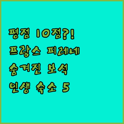 평점 10점 만점 실화? 프랑스 포 ..