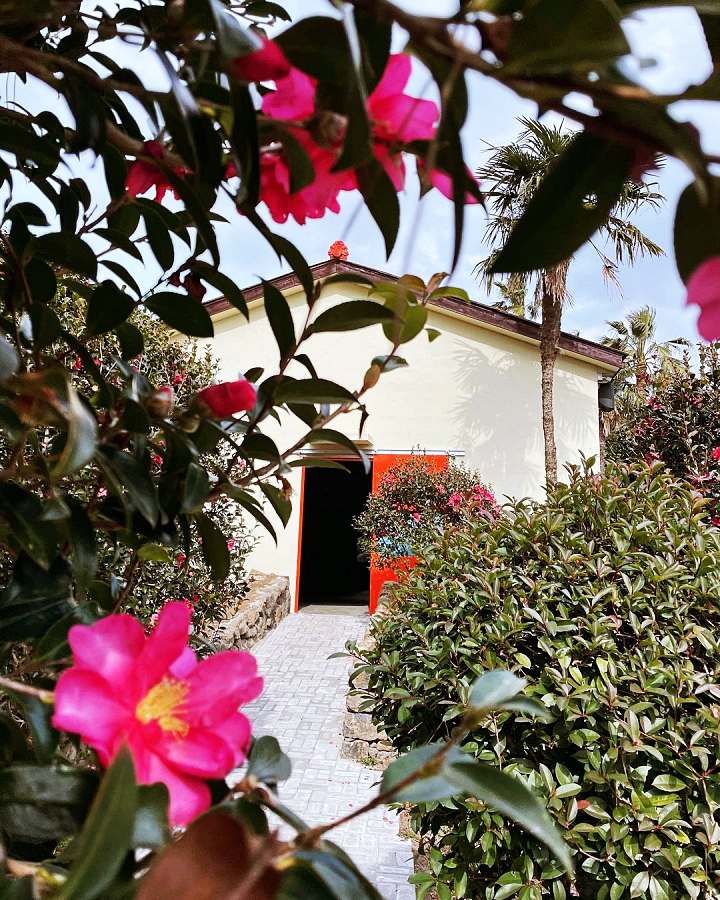 생방송오늘저녁 제주 인생샷 핫스팟 크림 쇼콜라 커피 디저트 3,500평 동백 가드닝 베이커리 카페 맛집 추천