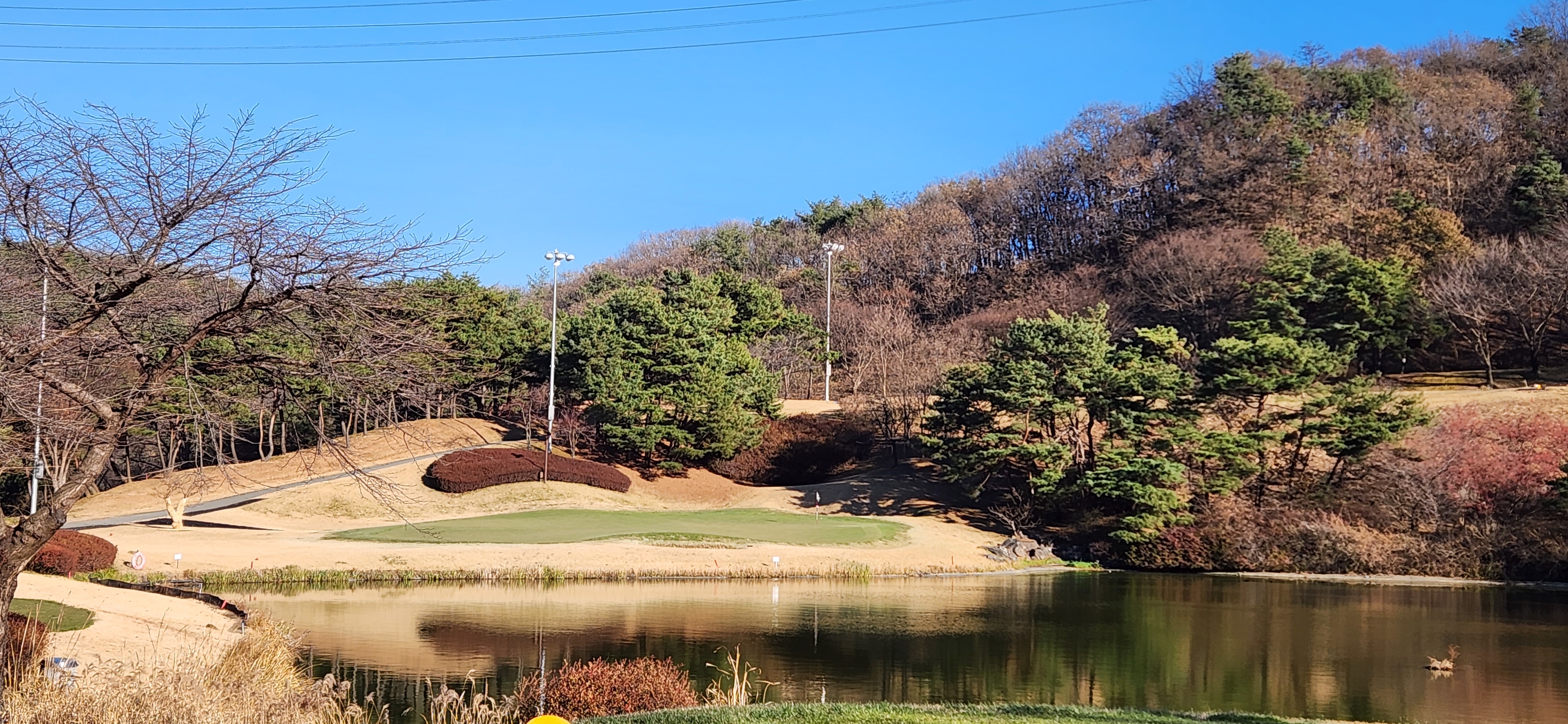 파인크리크