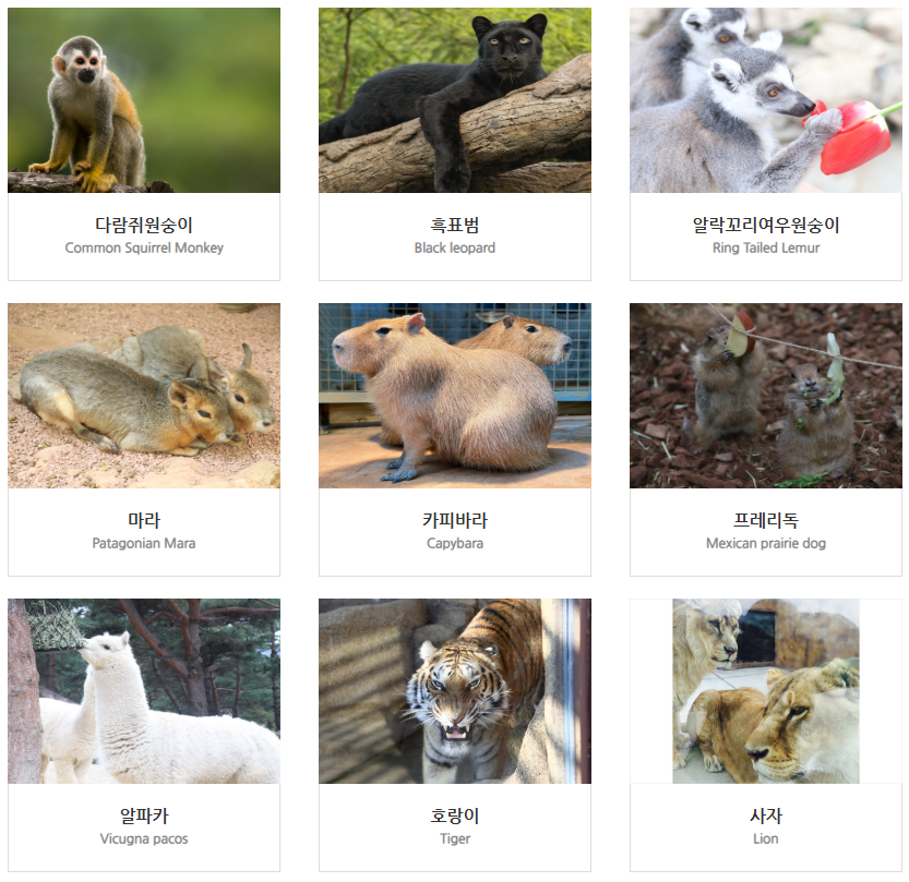 네이처파크 플라워페스티벌