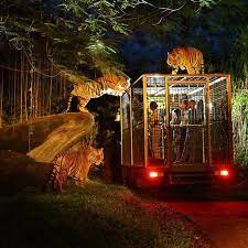 싱가포르 여행 추천 싱가포르 나이트 사파리