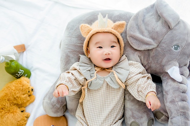 저온보관 방법으로 집먼지진드기 없애기