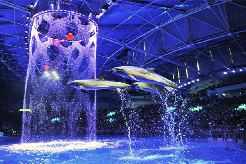 중국 대련 여행 완벽 가이드! 필수 코스부터 맛집까지