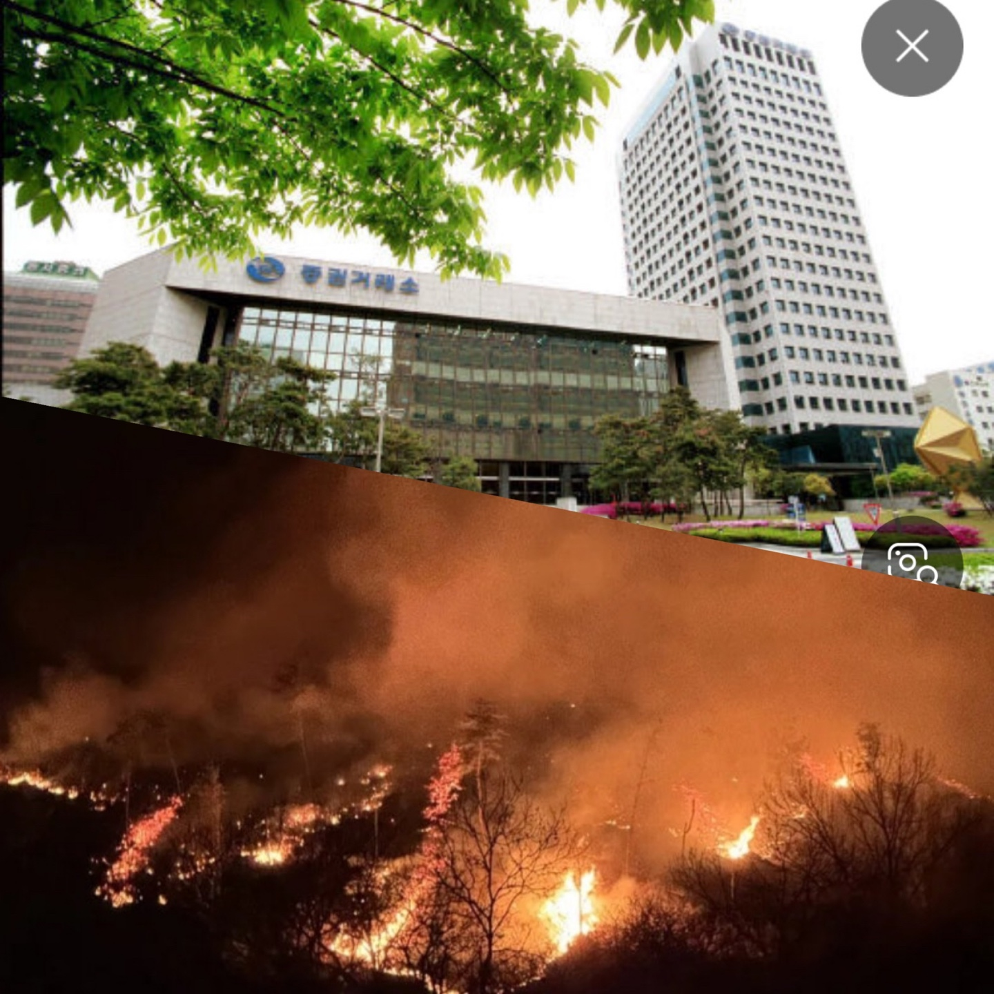 산불 증시 영향,대형산불 증시