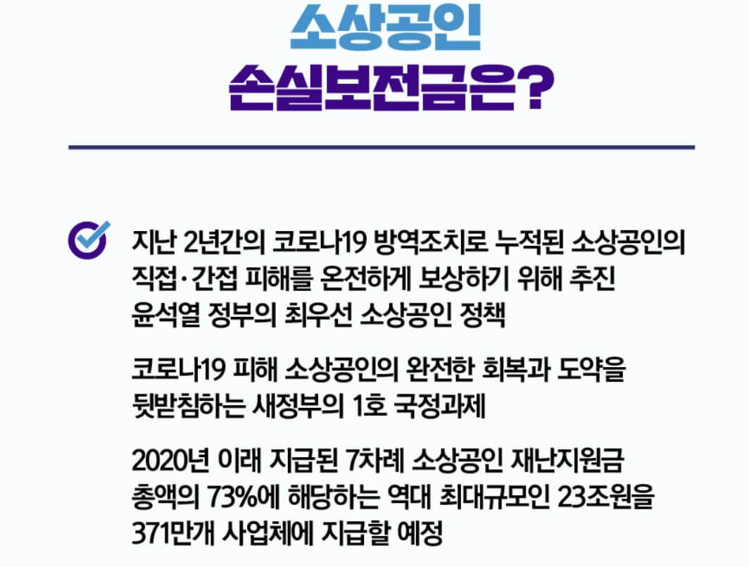 소상공인 손실보전금 사업 개요