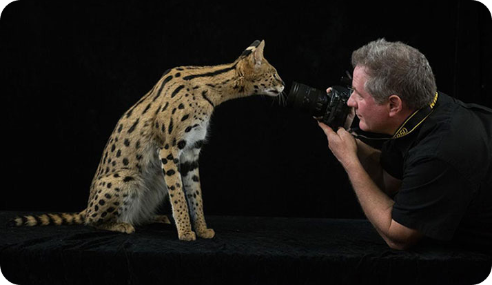 내셔널지오그래픽 사진전