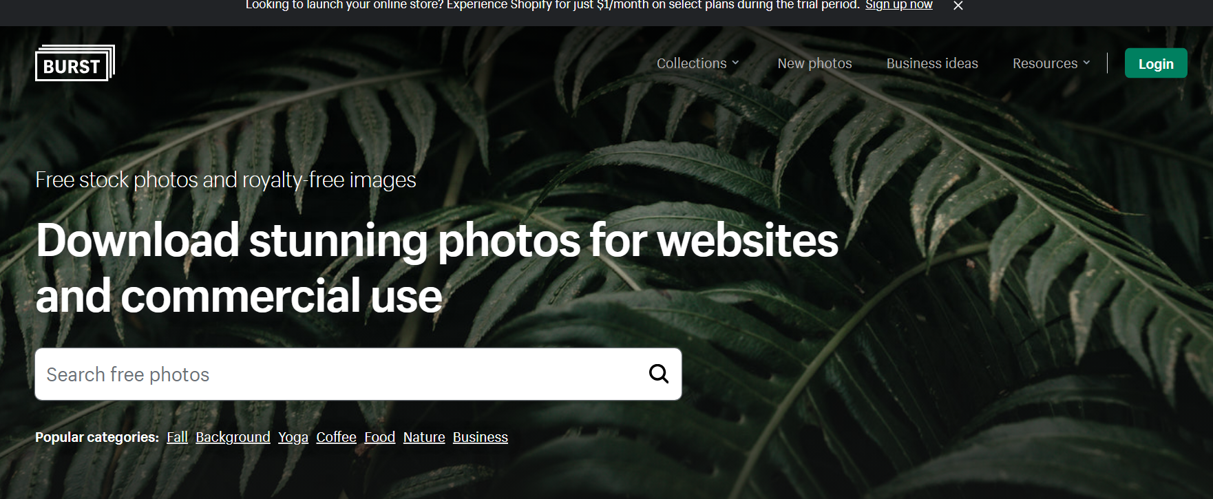 흑백배경의 나뭇잎