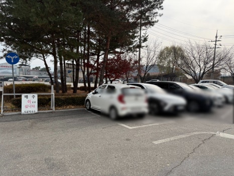 춘천 시골막국수 앞 넓은 주차장 모습