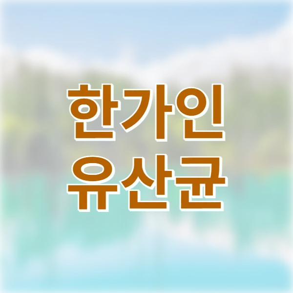 한가인 유산균