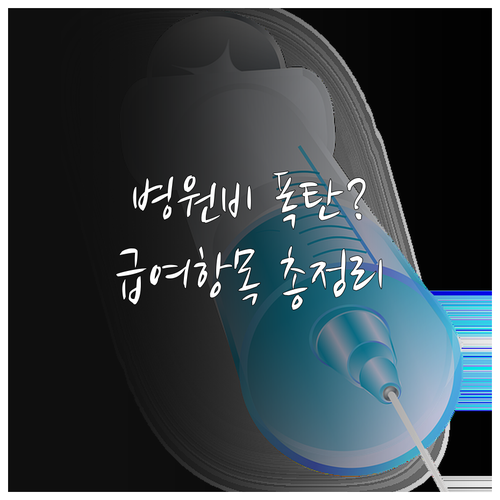 관리급여 진료비 구성 항목과 건강보험..