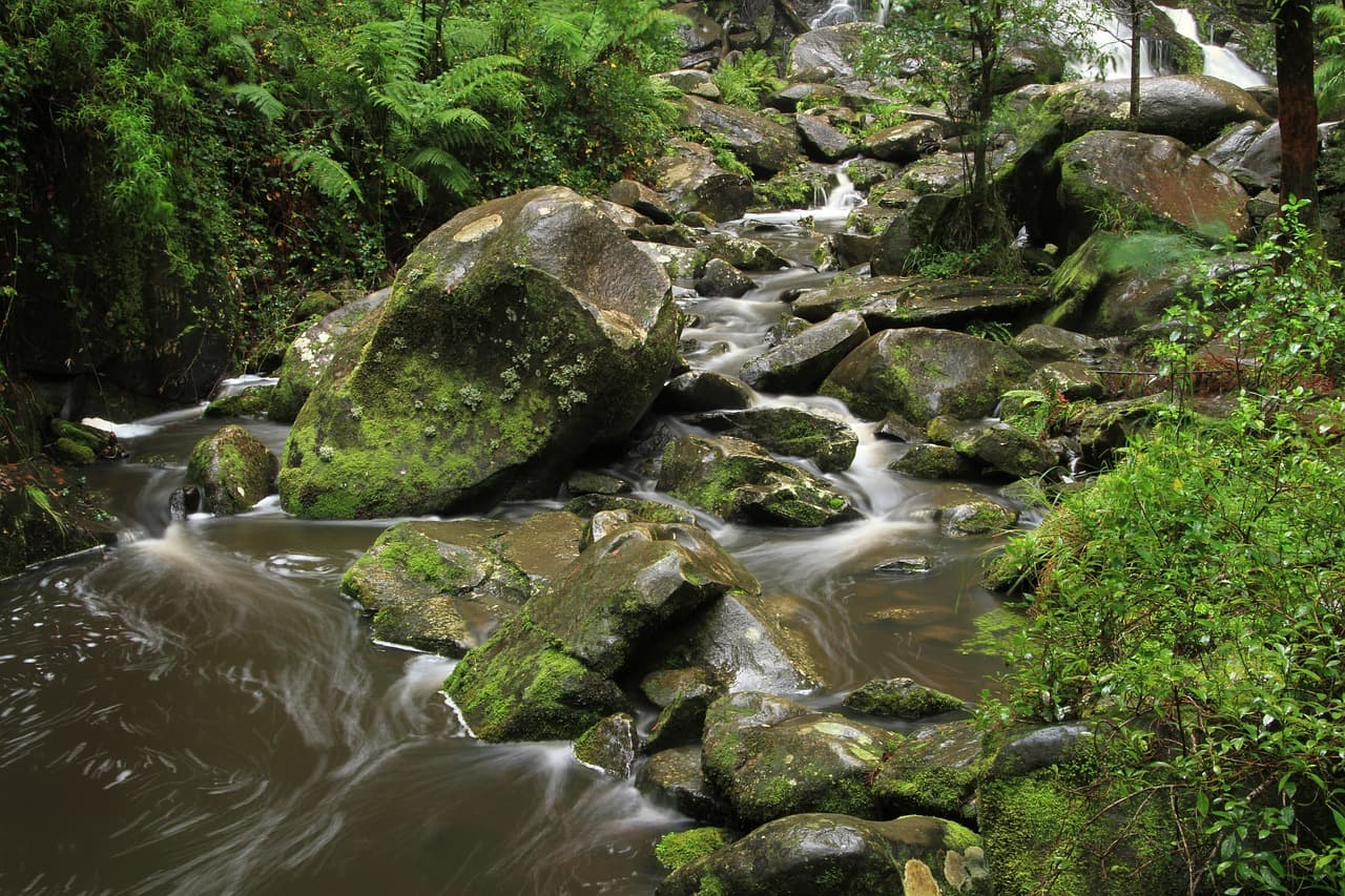 5월 연휴, 떠나기 좋은 슬로우 여행지 추천– 바쁜 일상에서 벗어나 여유롭게 떠나는 5월 연휴 여행지