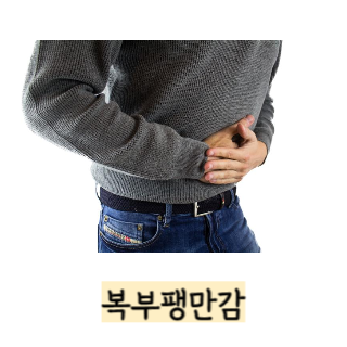 단백질-보충제