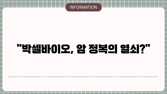 박셀바이오 주가 전망: 면역 항암제 개발과 투자 가치